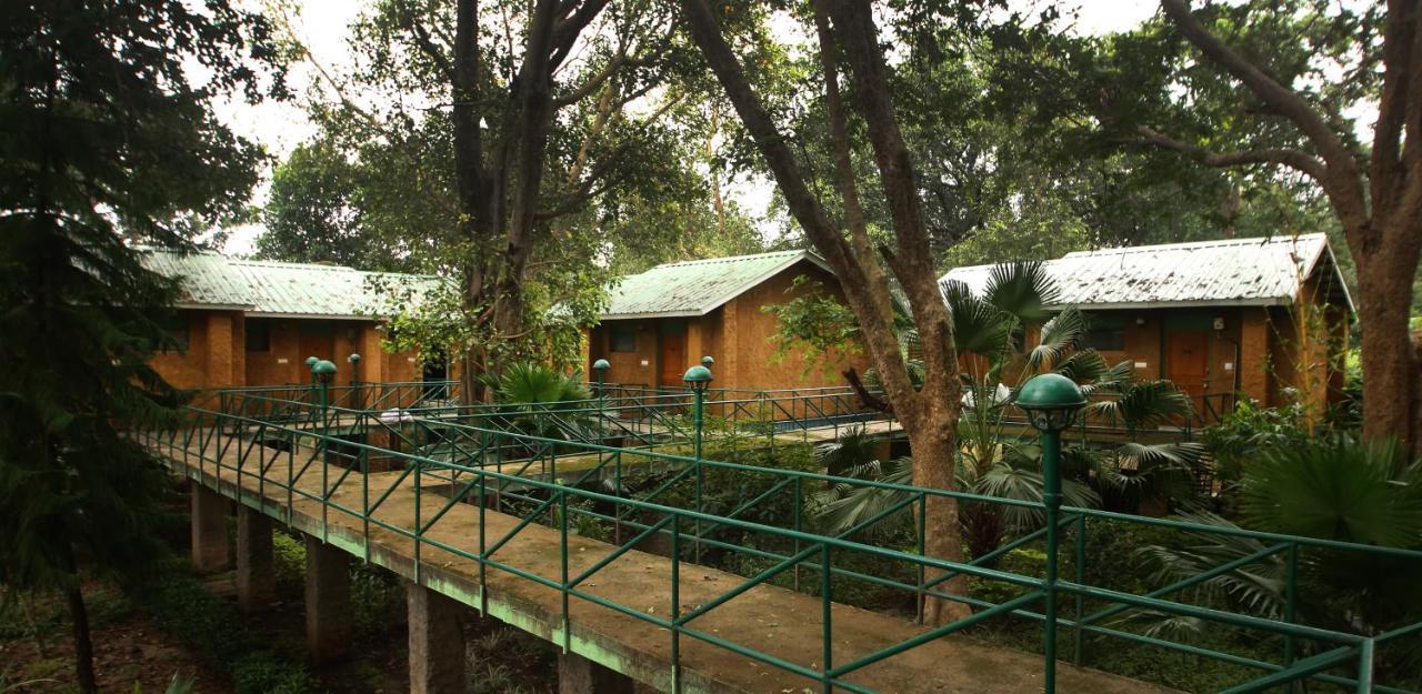 Mpt White Tiger Forest Lodge Tala  Ngoại thất bức ảnh