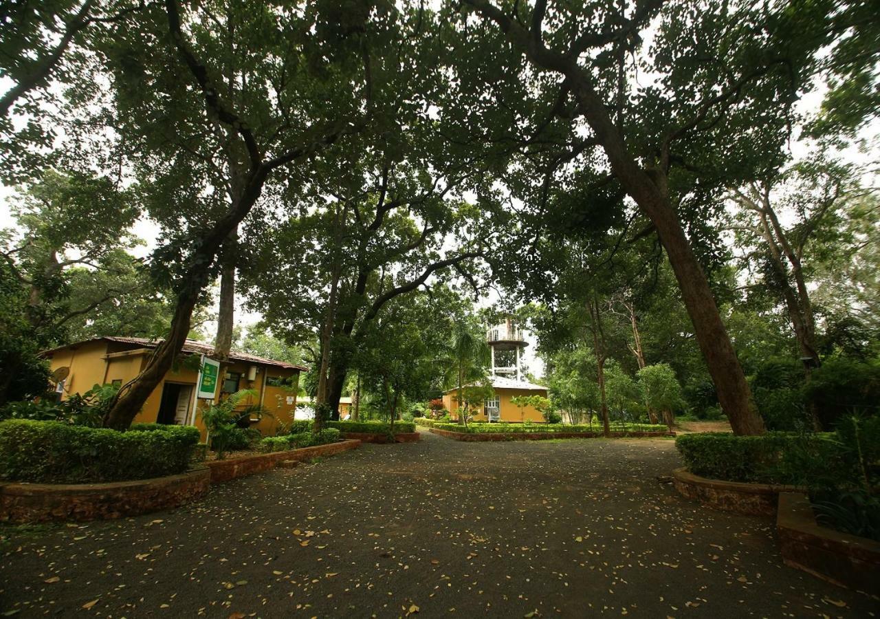 Mpt White Tiger Forest Lodge Tala  Ngoại thất bức ảnh