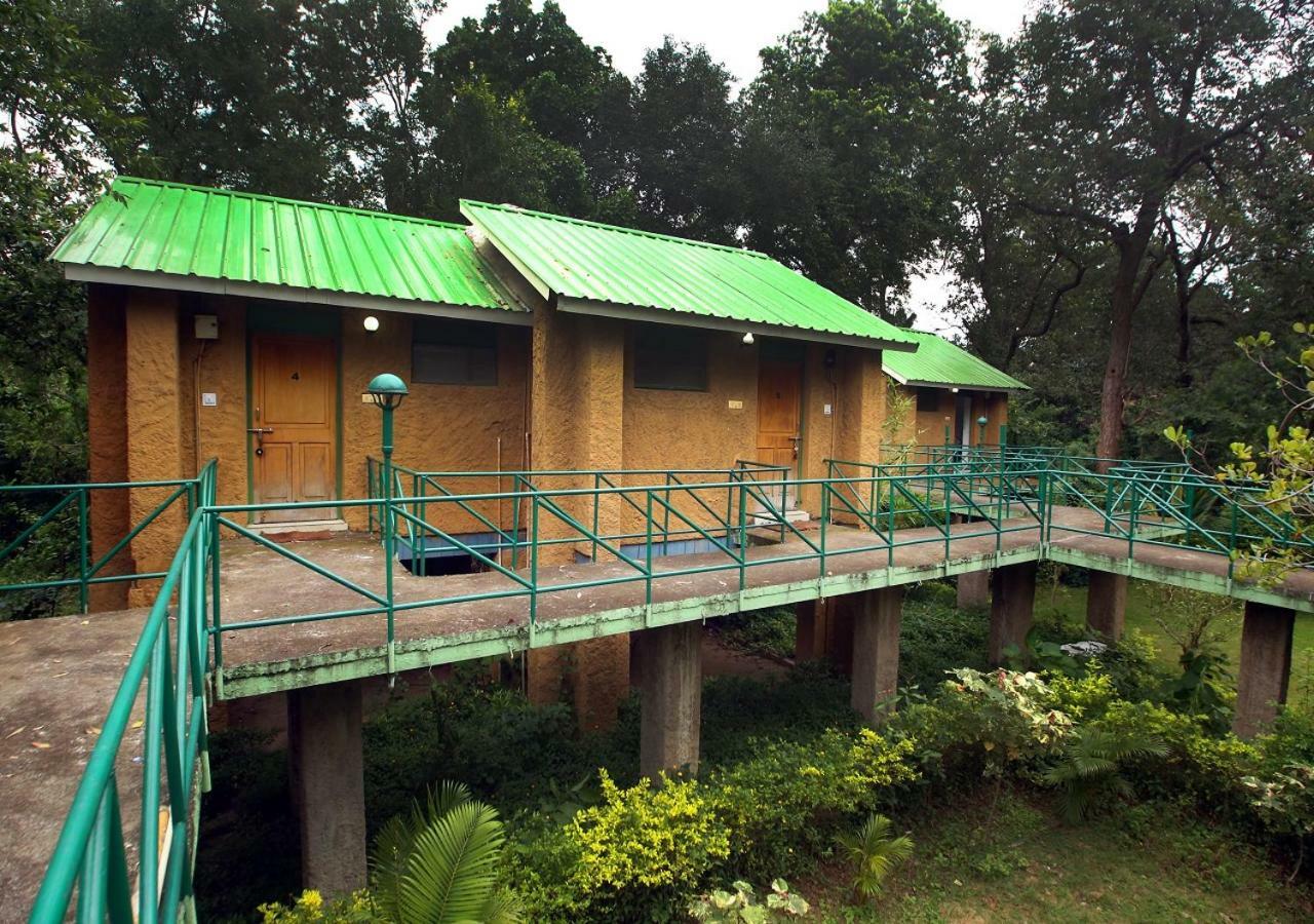 Mpt White Tiger Forest Lodge Tala  Ngoại thất bức ảnh