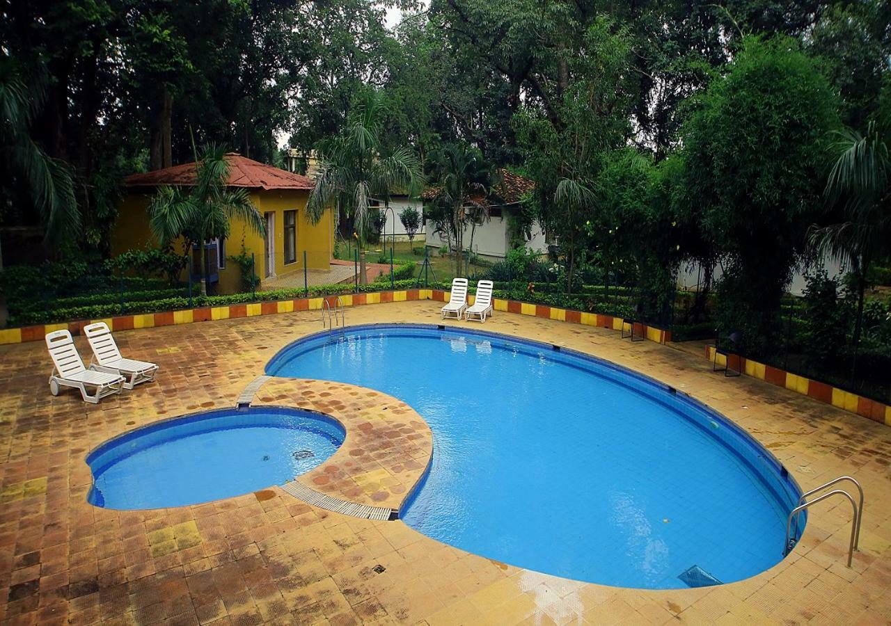 Mpt White Tiger Forest Lodge Tala  Ngoại thất bức ảnh